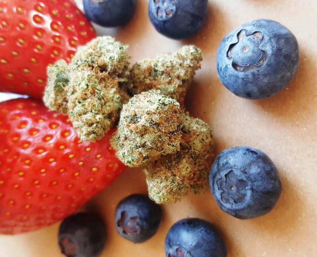 Le Varietà di Cannabis aromatizzate alla frutta presentano aromi che vanno dagli agrumi ai frutti di bosco e bacche dolci, a seconda dei terpeni presenti nella cultivar.