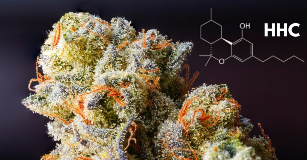 L'HHC, scientificamente noto come esaidrocannabinolo, è una forma idrogenata del THC naturalmente presente nelle piante di Cannabis.