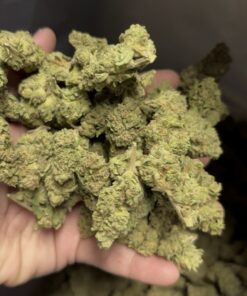 City Jangle | Sapphire Blaze 100 Grammi