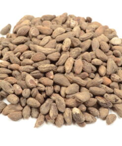 Psychoactive Herbs | Voacanga Africana seeds