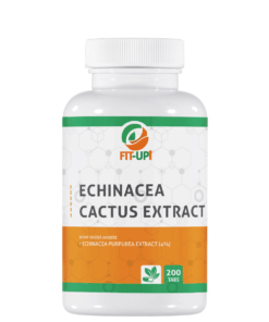 Pharmadelic | Echinacea extract 500 mg| 60 capsules