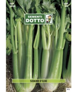 Sementi da Orto - Sedano D' Elne - Sem. Dotto