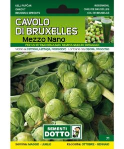 Sementi da Orto - Cavolo di Bruxelles mezzo nano - Sem. Dotto