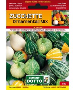 Sementi da Orto - Cavolo Verza D'Asti San Martino - Sem. Dotto
