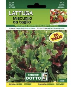 Sementi da Orto - Lattuga In miscuglio da Taglio - Sem. Dotto