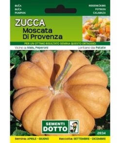 Sementi da Orto - Zucca Moscata di Provenza - Sem. Dotto