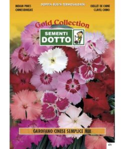 Gold Collection - GAROFANO Cinese Semplice in mix - h cm 35
