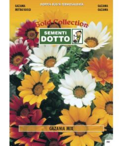 Gold Collection - GAZANIA in mix - h cm 35