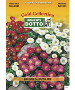 Gold Collection - MARGHERITA Doppia in mix - h cm 15