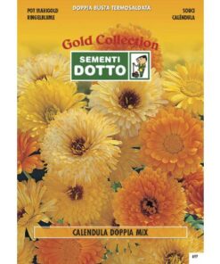 Gold Collection - CALENDULA in mix - h cm 60