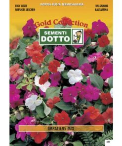 Gold Collection - IMPATIENS in mix - h cm 35