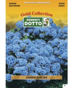 Gold Collection - AGERATO Blu - h cm 20