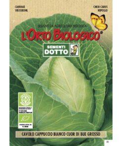 L’Orto Biologico - Cavolo Cappuccino Cuore Di Bue Grosso
