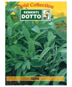 SEMENTI DOTTO - SALVIA
