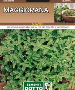Semi di Maggiorana