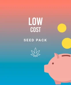 Royal Queen Seeds | Confezione “Low Cost”