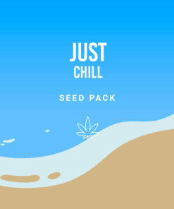 Royal Queen Seeds | Confezione “The Chill”
