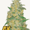 Fast Buds | AK Auto