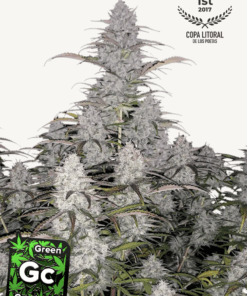 Fast Buds | Green Crack Auto