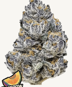 Fast Buds | Rainbow Melon