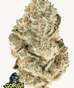 Fast Buds | Gorilla Melon
