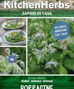 Kitchen Herbs - Borragine- Sem. Dotto
