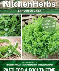 Kitchen Herbs - Basilico a Foglia Fine- Sem. Dotto