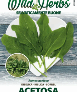 Wild Herbs - Acetosa - Sem. Dotto