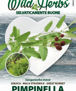 Sementi Dotto | Wild Herbs - Pimpinella o Salvastrella - Sem. Dotto