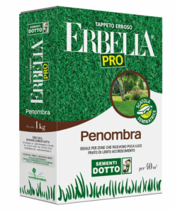 Sementi Dotto | Erbella Pro - Penombra – Sem. Dotto