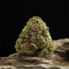 La Canapa Legale | Strawberry CBD Small Buds