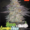 Greenhouse seeds | Super Lemon Haze x OGM