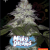 Greenhouse seeds | Milky Dreams