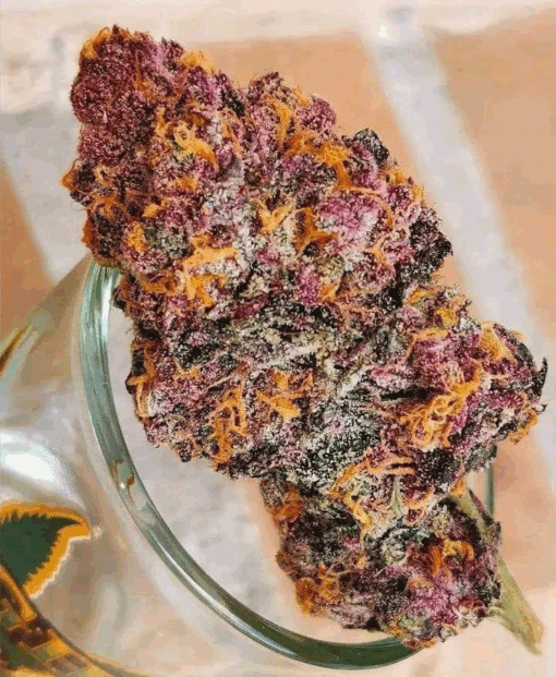 Smoky USA | tropicana cherry Δ⁹-THC