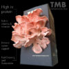 The Mushroom Box | Protein Packed - Pink Oyster Mushroom Box