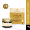 Upakarma | Pure Shilajit Resin with Gold Dust