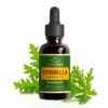 ACTIZEET | Citronella Essential Oil (Cymbopogon nardus)