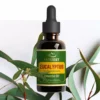 ACTIZEET | Eucalyptus Essential Oil