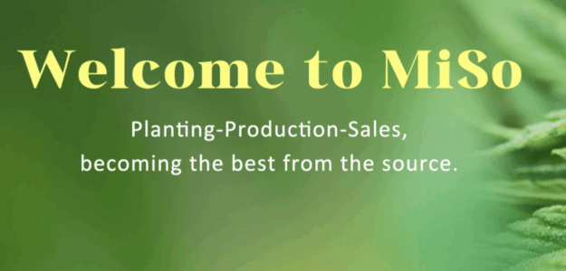 Miso Biosciences Miso Biosciences