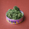 LYNX Cannabis | Pacchetto Lynx Prime + Lynx Potpourri