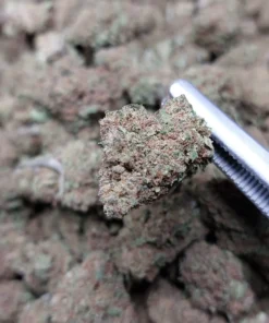 Cookiz.io | Berry CBD