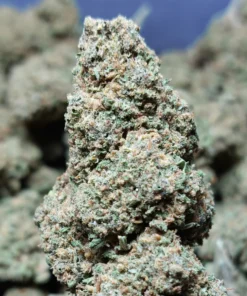 Cookiz.io | Golden Haze CBD